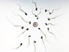 Molecule identified that helps sperm find egg cells