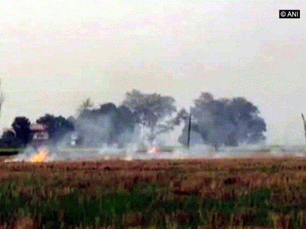 BKU opens front against govt. over prohibition on stubble burning BKU opens front against govt. over prohibition on stubble burning