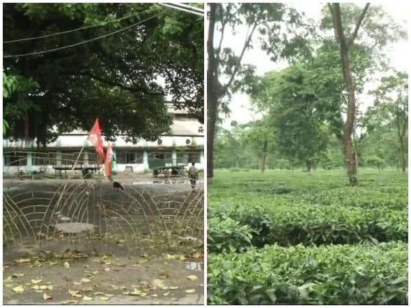 West Bengal: Tea trade unions call for 3-day strike West Bengal: Tea trade unions call for 3-day strike