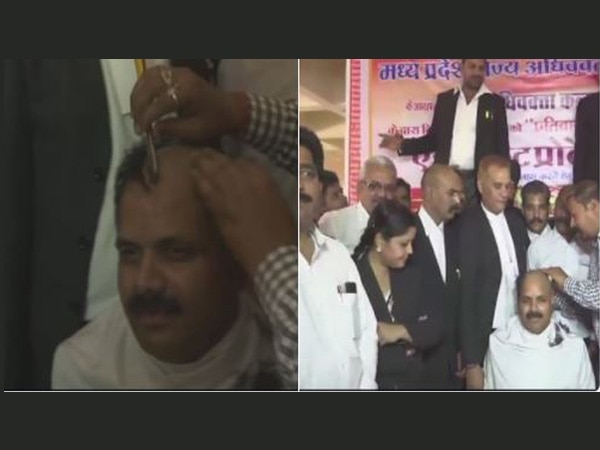 Protesting lawyers shave their heads in Bhopal Protesting lawyers shave their heads in Bhopal