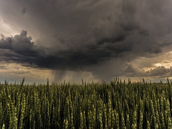 Dozens injured as tornado hits North Dakota Dozens injured as tornado hits North Dakota