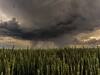 Dozens injured as tornado hits North Dakota