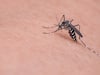 New compounds identified to treat Zika virus
