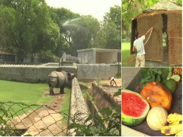 Special arrangement in Kanpur Zoo to beat scorching heat wave Special arrangement in Kanpur Zoo to beat scorching heat wave