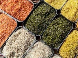 Government imports 13,000 tonnes of pulses to check rising prices Government imports 13,000 tonnes of pulses to check rising prices