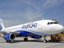 IndiGo flight with 159 on board hits wild boar during take-off