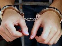 Woman arrested for Delhi senior citizen's murder