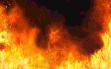 Fire destroys National Museum of Natural History