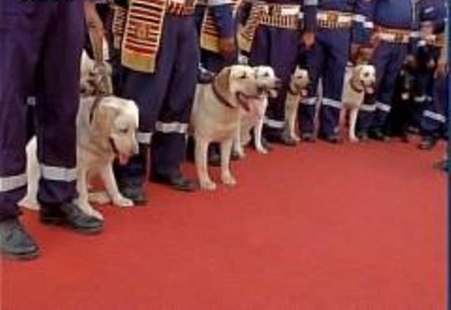 Delhi Police inducts 30 dogs to its canine squad Delhi Police inducts 30 dogs to its canine squad