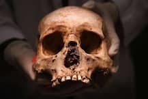 Professor stopped at airport with human skull