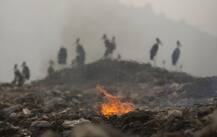 To survive next extinction, we'll have to live fast, die young