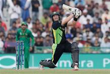 IPL 2016, Royal Challengers Bangalore: Playing with Virat Kohli is a huge buzz for me: Shane Watson