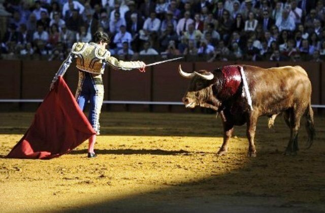 Bullfighting: For Some A 'Blood Sport', For Others A Cultural Event Bullfighting: For Some A 'Blood Sport', For Others A Cultural Event