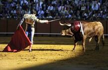 Bullfighting: For Some A 'Blood Sport', For Others A Cultural Event