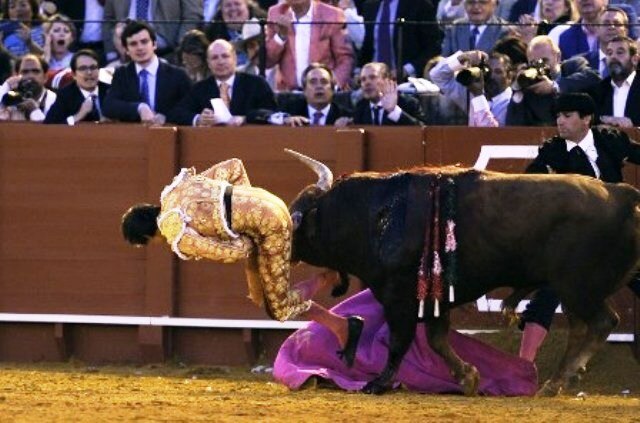 Horrifying footage: Angry bull gores matador in butt during Spanish fight Horrifying footage: Angry bull gores matador in butt during Spanish fight