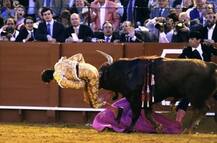 Horrifying footage: Angry bull gores matador in butt during Spanish fight