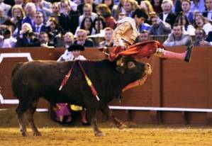 Horrifying footage: Angry bull gores matador in butt during Spanish fight