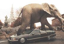 Kevin Hart, Dwayne Johnson eyed to star in 'Jumanji' remake