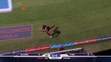 VIDEO: Watch Shane Watson, David Wiese coordinate to take this amazing catch Royal Challengers Bangalore Delhi Daredevils