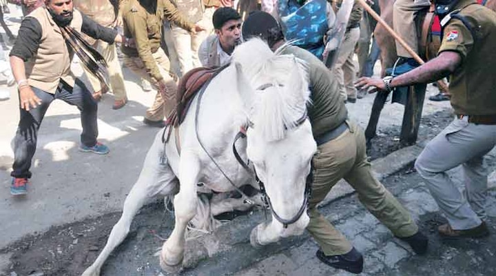 Shaktiman, the injured police horse dies Shaktiman, the injured police horse dies