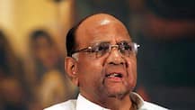 After Lalu Yadav, Sharad Pawar backs Nitish Kumar as face of anti-BJP alliance
