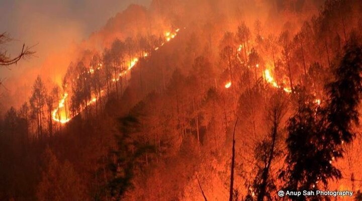 Forest fires rage across Uttarakhand, 6 die since February Forest fires rage across Uttarakhand, 6 die since February