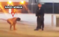 Bizarre footage: Watch cops tackling NAKED 'kung fu fighting' woman in New York