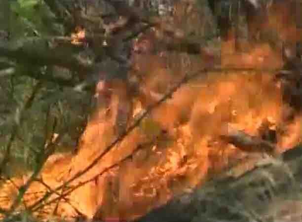 Uttarakhand forest fire: Situation under control, says Home Minister Rajnath Singh Uttarakhand forest fire: Situation under control, says Home Minister Rajnath Singh