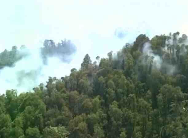 Uttarakhand forest fire: Situation under control, says Home Minister Rajnath Singh