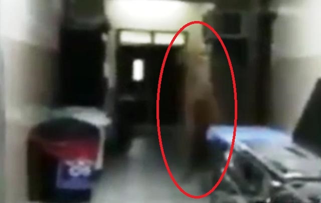 Haunted: Watch ghostly image filmed inside hospital ‘where doctor took his own life’ Haunted: Watch ghostly image filmed inside hospital ‘where doctor took his own life’