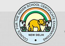 16-year-old cancer patient scores 95.8 % in ICSE examinations