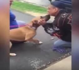 Watch: Dog can't control his emotions after being reunited with owner 2 yrs after being stolen
