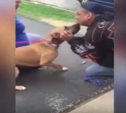 Watch: Dog can't control his emotions after being reunited with owner 2 yrs after being stolen
