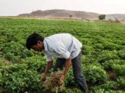 Kita village: Where Sarpanch turns drought hit village into self-sufficient one