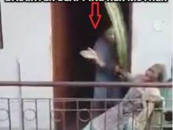 Disgusting: Daughter beats 85-year-old mother, neighbours record incident on mobile