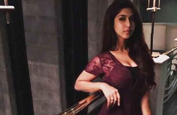 After Tum Dena Saath Mera she was cast in the show Devon Ke Dev...Mahadev as Parvati