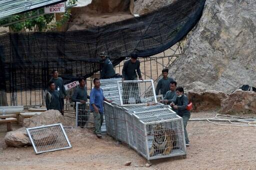 The grisly discovery at the Buddhist temple in Kanchanaburi province on Wednesday morning came after a raid launched on Monday for relocation of 137 adult tigers of the temple by at least 1,000 personnel.
