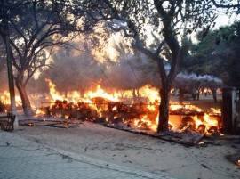 Mathura protesters were 'outsiders', says Samajwadi Party Mathura protesters were 'outsiders', says Samajwadi Party