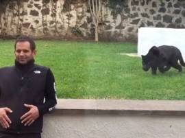 Viral Video: Panther stalks 'defenseless' man at zoo before 'launching attack'