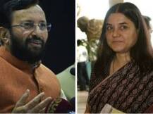 Monkeys declared vermin in Himachal, Maneka Gandhi and Prakash Javadekar lock horns