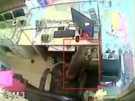 Only in India: Watch thieving monkey caught on camera Only in India: Watch thieving monkey caught on camera
