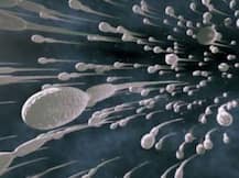 Delhi: Widow asks AIIMS doctors for dead husband’s sperm