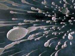 'For the sake of your country, please donate sperm' appeals this nation to its men!