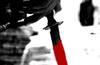 Man kills 10 family members including 8 children, hangs himself