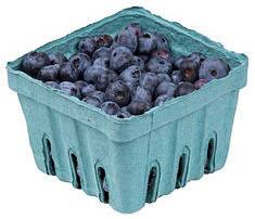 Eat blueberries to fight age, memory loss