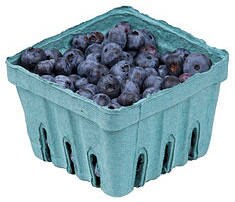 Eat blueberries to fight age, memory loss