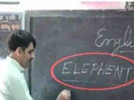 Viral Sach: Did Gujarat minister write wrong spelling of elephant? Viral Sach: Did Gujarat minister write wrong spelling of elephant?