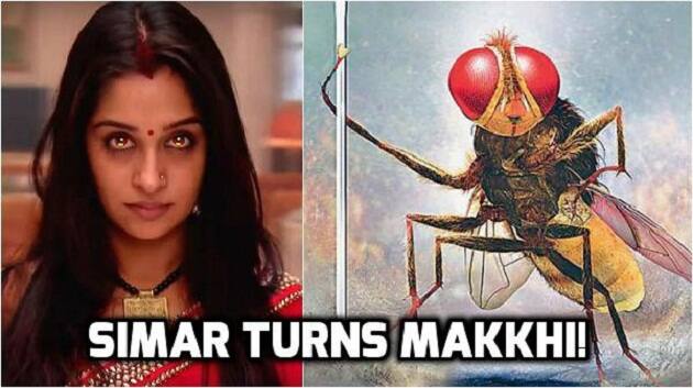 Actress Dipika Kakar as Simar turned into a Makkhi (fly) as a punishment in 'Sasural Simar Ka'