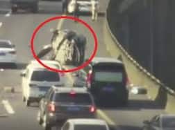 Watch: Car crashes into divider, turns turtle several times before being completely destroyed