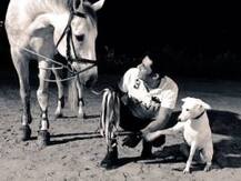 Randeep Hooda comes to rescue of Matheran's ailing horses
